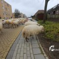 IMG_1313951