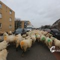 IMG_1313970