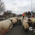 IMG_1314061