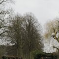 IMG_1314279