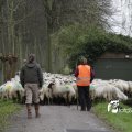 IMG_1314287