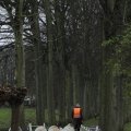 IMG_1314289
