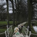 IMG_1314307