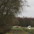 IMG_1314337