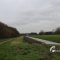 IMG_1314347