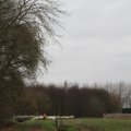 IMG_1314349