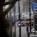 IMG_1315611