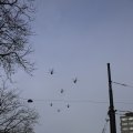 IMG_1316012