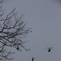 IMG_1316013