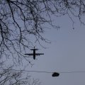 IMG_1316016