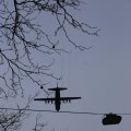 IMG_1316017