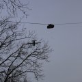 IMG_1316018