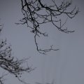 IMG_1316019