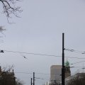 IMG_1316022
