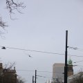 IMG_1316023