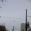 IMG_1316024
