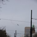 IMG_1316025
