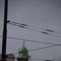 IMG_1316027