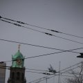 IMG_1316028