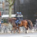 IMG_1316030