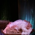 IMG_1316471