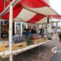 IMG_1316077
