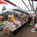 IMG_1316132