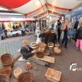IMG_1316135