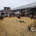 IMG_1316156