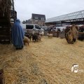 IMG_1316157