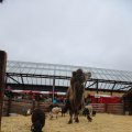 IMG_1316168