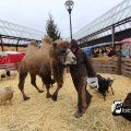 IMG_1316170