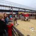 IMG_1316189