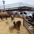 IMG_1316190