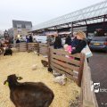 IMG_1316211