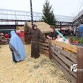 IMG_1316222