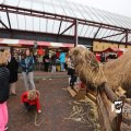 IMG_1316235