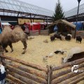 IMG_1316249