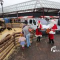 IMG_1316251