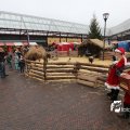 IMG_1316256