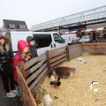 IMG_1316324