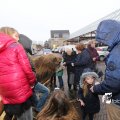 IMG_1316351