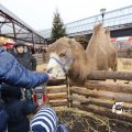 IMG_1316358