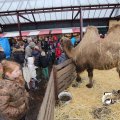 IMG_1316366