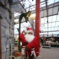 IMG_1316386