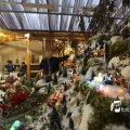 IMG_1316398