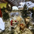 IMG_1316416