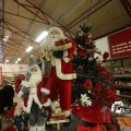IMG_1316448