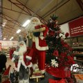 IMG_1316449