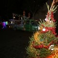 IMG_1317573